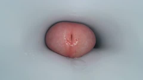 jeffrodgerschaturbat online show from December 2024 11:37:02 AM