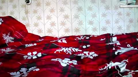 jellykulli online show from December 2024 09:31:02 AM