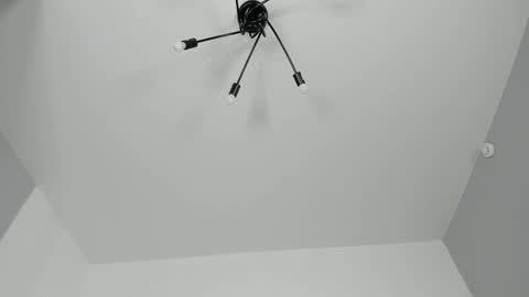 Dolly online show from February 2025 07:25:01 PM