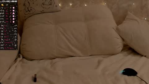 Snapshot of jeniferji chatting on March 2026 01:37:02 PM EvaSileZ online show from March 2026 01:37:02 PM