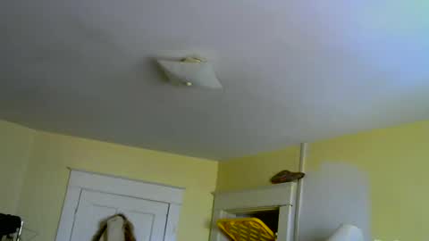 Snapshot of jenovakitty chatting on April 2026 02:44:01 PM Jenn - come to my onlyfans online show from April 2026 02:44:01 PM