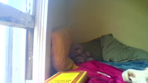 Snapshot of jenovakitty chatting on April 2026 03:04:02 PM Jenn - come to my onlyfans online show from April 2026 03:04:02 PM