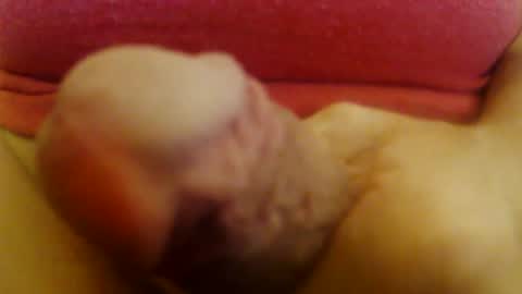 JoeEBear online show from December 2024 06:59:02 PM