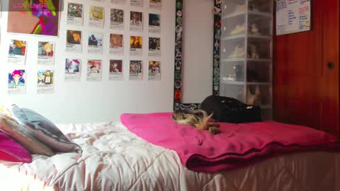 Your Sweet Angel online show from February 2026 07:09:02 PM