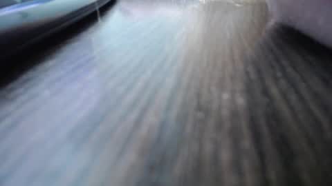 Snapshot of jessikadaniels chatting on December 2024 10:34:02 AM Jess online show from December 2024 10:34:02 AM