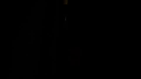 Snapshot of jestersquid89 chatting on September 2025 10:31:01 PM jestersquid89 online show from September 2025 10:31:01 PM