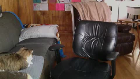 Snapshot of jettadude5 chatting on January 2025 06:02:01 PM jettadude5 online show from January 2025 06:02:01 PM