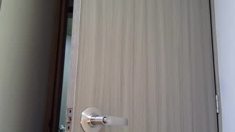   online show from March 2026 11:05:02 AM