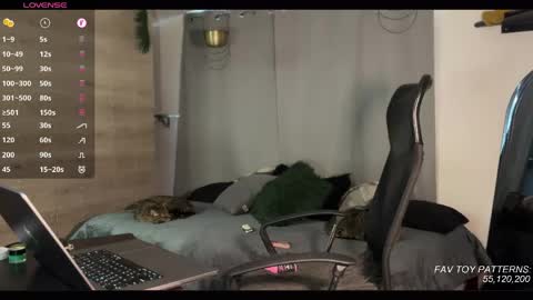 Snapshot of jim_dancer chatting on March 2026 02:17:01 PM jim_dancer online show from March 2026 02:17:01 PM