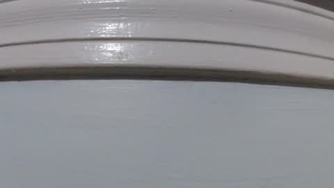 Snapshot of jimmyz500 chatting on March 2026 09:43:02 PM jimmyz500 online show from March 2026 09:43:02 PM