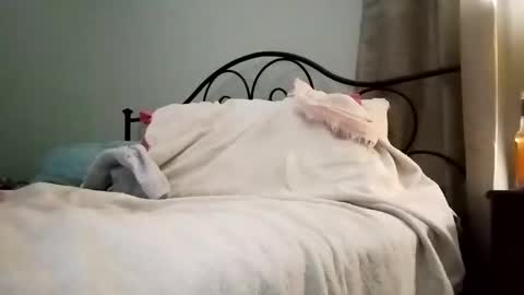 Snapshot of jimz169 chatting on January 2025 03:18:02 AM Jimz14u online show from January 2025 03:18:02 AM