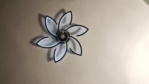 Snapshot of jimz169 chatting on February 2025 03:15:02 AM Jimz14u online show from February 2025 03:15:02 AM