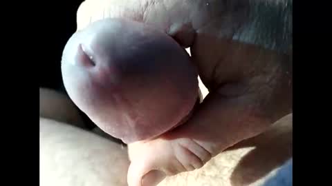 Snapshot of jjbanks57219 chatting on September 2025 11:08:02 PM jjbanks57219 online show from September 2025 11:08:02 PM