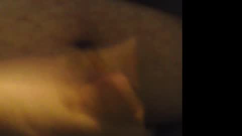 firejoepro2 online show from February 2026 06:25:02 AM