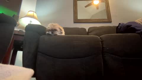 Jimmy online show from January 2025 11:02:02 PM