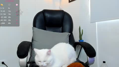 IGJmortton online show from December 2025 02:33:02 PM