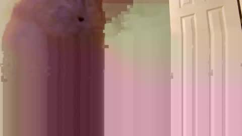 Snapshot of jmtz4420 chatting on January 2025 09:00:02 AM Jmtz4420 online show from January 2025 09:00:02 AM