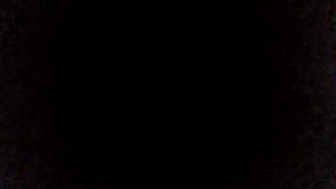 joaco_y_fabi online show from March 2026 04:13:02 PM