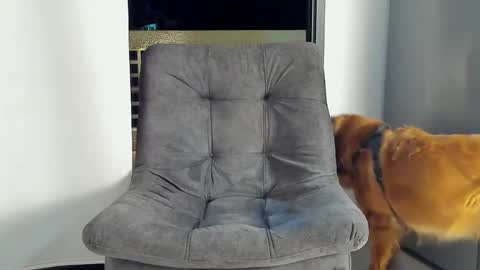 JOAN SAENZ online show from January 2025 03:47:01 AM