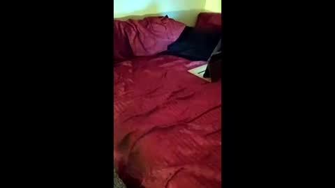 joeborrowman7 online show from March 2026 08:38:01 AM