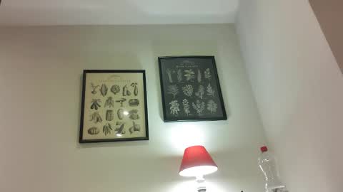 Joe  Fitbite online show from October 2025 03:29:01 PM