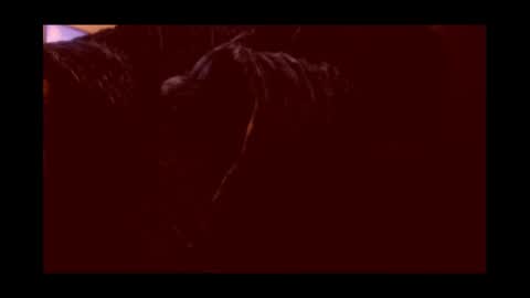 Joeygumbo online show from January 2025 02:19:01 PM