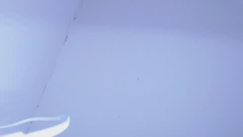 JOHAN independient model online show from February 2025 11:28:02 PM