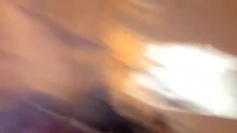 john0131739980 online show from September 2025 06:37:01 AM