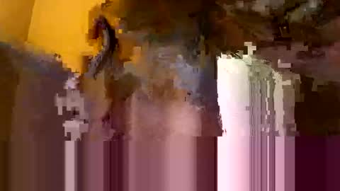 Snapshot of john499343 chatting on October 2025 08:04:02 AM John online show from October 2025 08:04:02 AM