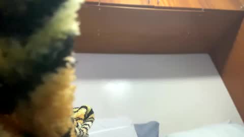 JOHN online show from February 2025 11:55:02 PM