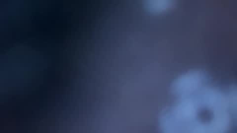 JOHN online show from November 2025 11:02:01 PM