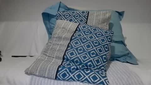 Snapshot of johnrossignol chatting on March 2025 08:09:02 PM johnrossignol online show from March 2025 08:09:02 PM