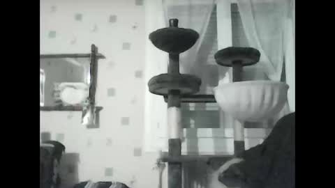 jojo60000529566 online show from January 2025 07:13:02 PM