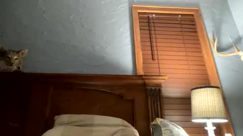 jonbigwhat online show from December 2024 01:40:02 AM