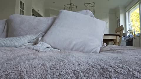 Snapshot of jonesy420xoo chatting on October 2025 11:24:02 PM jonesy420xoo online show from October 2025 11:24:02 PM