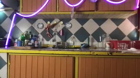 Jony Marta GMT 2000-0100 every day online show from November 2025 06:30:01 PM