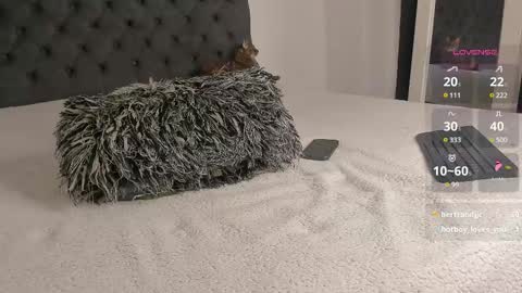 Will online show from March 2025 10:54:01 PM