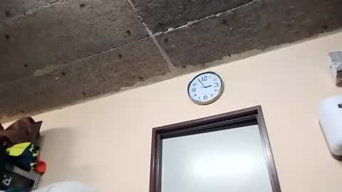 jorgaux69 online show from June 2026 12:56:02 AM