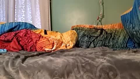 Snapshot of jorjina_x_mckie chatting on January 2025 08:22:02 PM jorjina_x_mckie online show from January 2025 08:22:02 PM