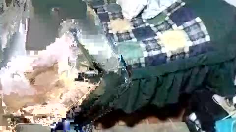 jose online show from November 2025 02:56:02 AM