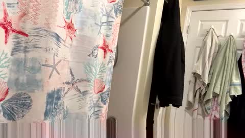 sissy josphine online show from February 2026 03:37:01 AM