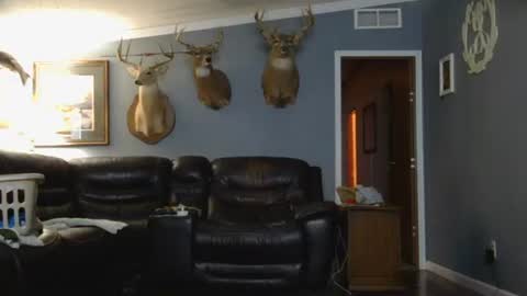 Snapshot of joshua122933 chatting on March 2026 02:28:02 AM Josh online show from March 2026 02:28:02 AM