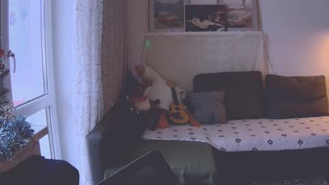 joy_keys online show from January 2025 11:58:02 AM