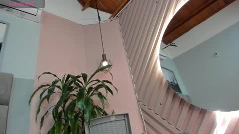 Snapshot of juanasunshine_ chatting on March 2026 11:37:01 AM Juana online show from March 2026 11:37:01 AM