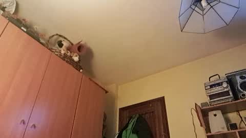 Snapshot of juanka85564456 chatting on January 2025 12:43:02 AM juanka85564456 online show from January 2025 12:43:02 AM