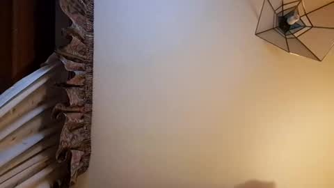 Snapshot of juanka85564456 chatting on February 2025 02:56:02 AM juanka85564456 online show from February 2025 02:56:02 AM