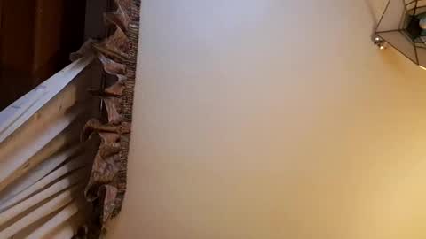 Snapshot of juanka85564456 chatting on February 2025 11:56:02 PM juanka85564456 online show from February 2025 11:56:02 PM