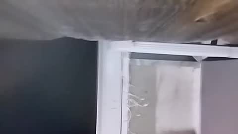 Carlos online show from December 2024 02:34:02 AM