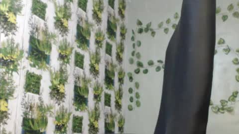 Snapshot of juicy_gold22 chatting on December 2024 11:58:01 AM Mariagold online show from December 2024 11:58:01 AM