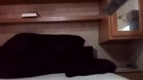 Snapshot of juish5521 chatting on March 2025 12:26:02 AM Juish5521 online show from March 2025 12:26:02 AM